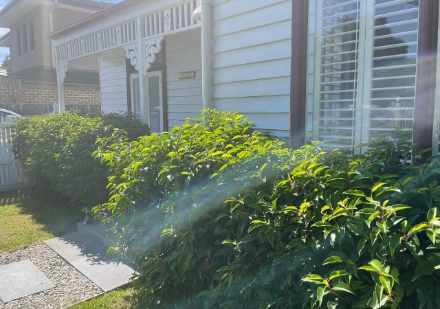 Area House Relevelling 5